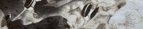 Botanical Dyeing1_SN